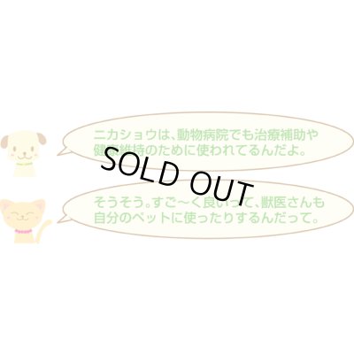 画像6: 長寿村バーマのニカショウハーブ　顆粒タイプ（30本入り）