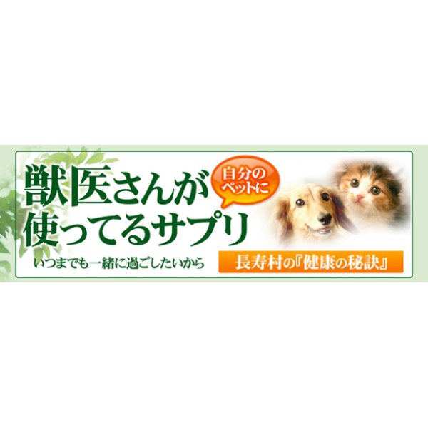 長寿村バーマのニカショウハーブ 粒タイプ（90粒入り） - atelierしっぽな